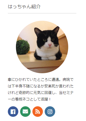 サイドバープロフィール