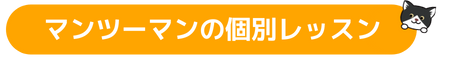 マンツーマンWordPressオンラインセミナー