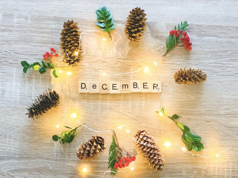December background. Hello December. Decorations - pine cones, lights, greenery