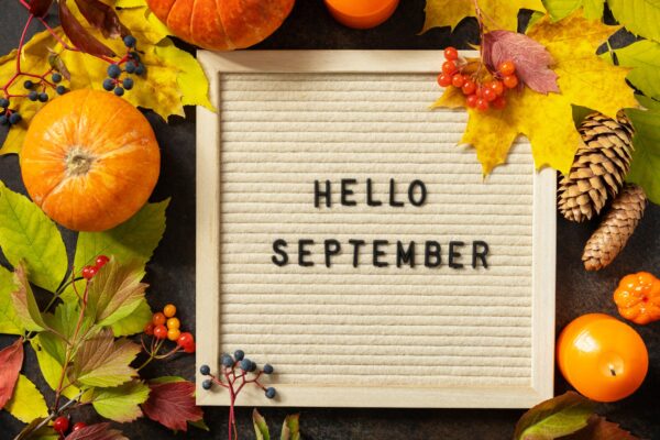 Autumn background with Hello September letters and autumn message board, pumpkins.