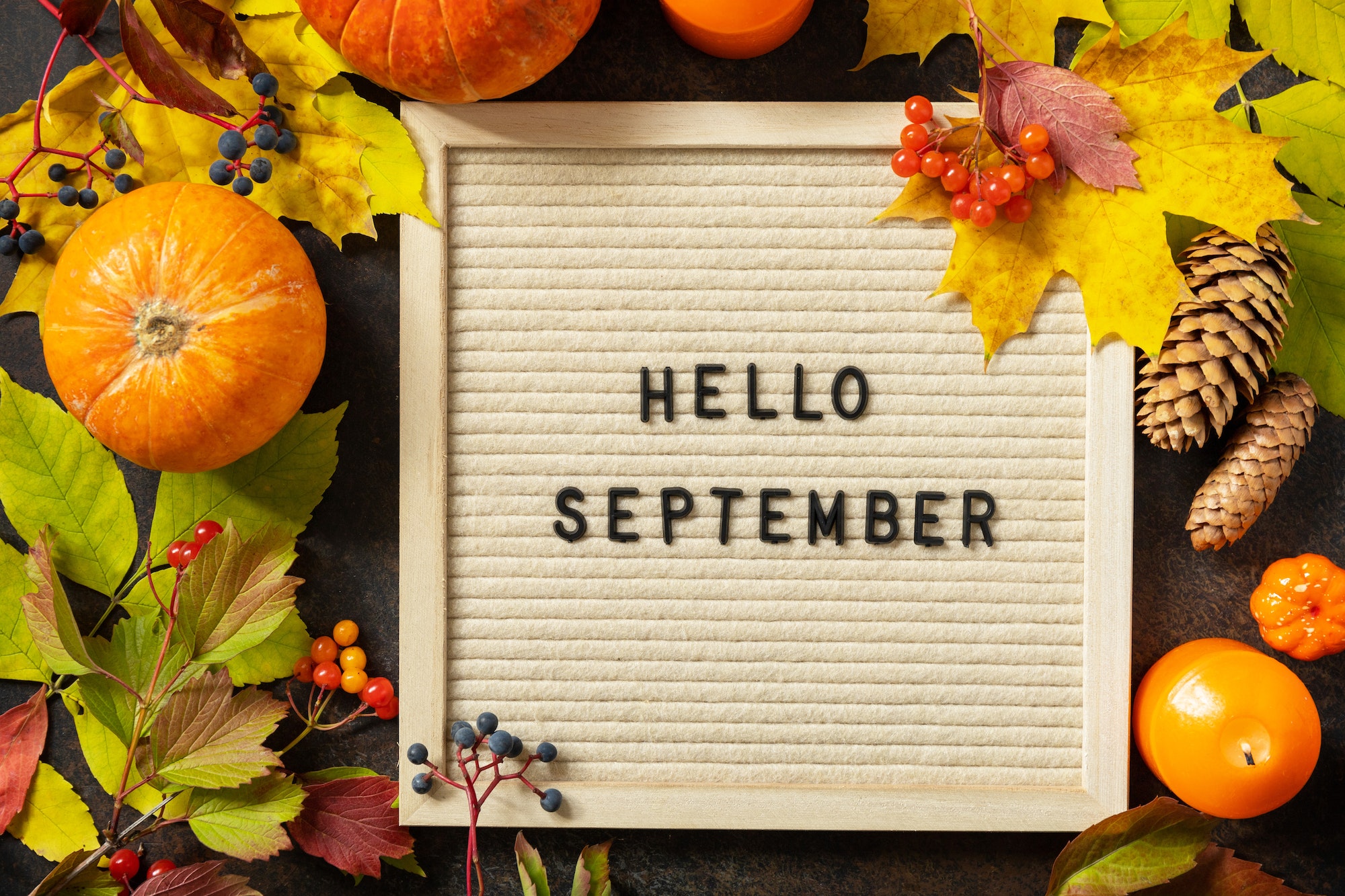 Autumn background with Hello September letters and autumn message board, pumpkins.